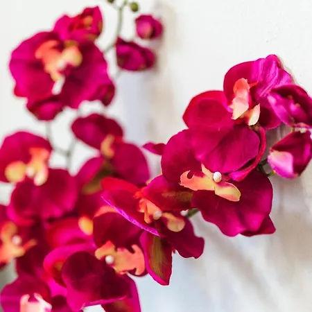 Twinstars Maisonette Dom wakacyjny Kalyves Polygyrou