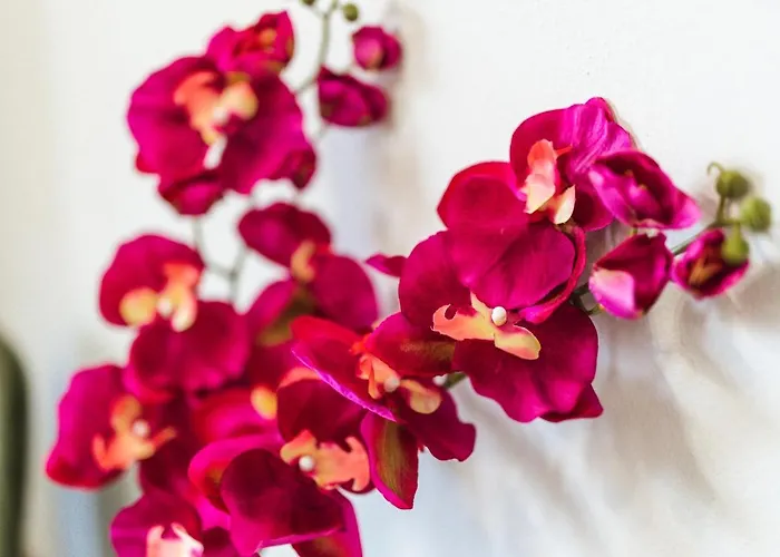 Twinstars Maisonette Semesterbostad Kalyves Polygyrou